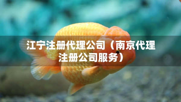 江寧注冊(cè)代理公司（南京代理注冊(cè)公司服務(wù)）