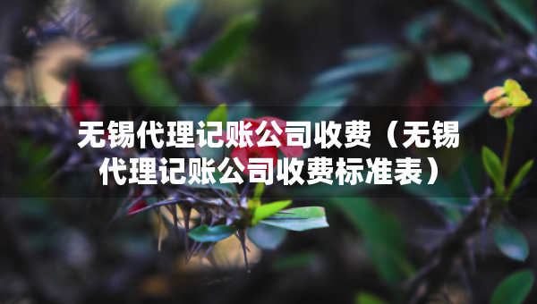 無錫代理記賬公司收費（無錫代理記賬公司收費標準表）