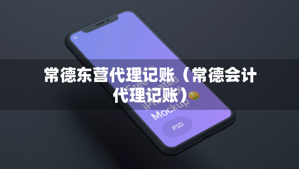 常德東營代理記賬（常德會計代理記賬）