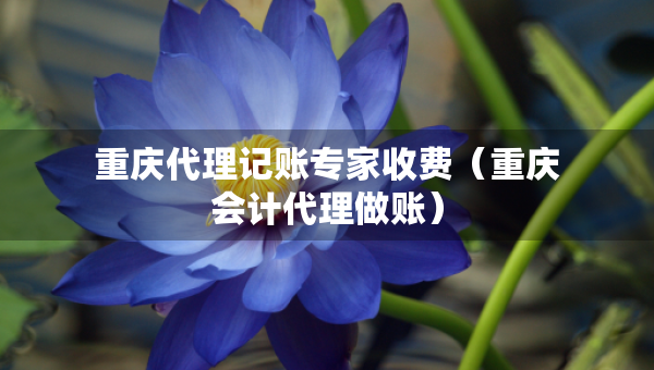 重慶代理記賬專家收費(fèi)（重慶會計(jì)代理做賬）