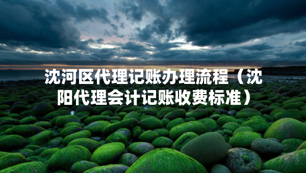 沈河區(qū)代理記賬辦理流程（沈陽代理會計記賬收費標準）