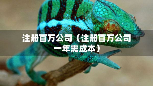 注冊百萬公司（注冊百萬公司一年需成本）