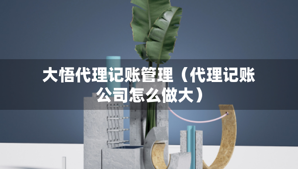 大悟代理記賬管理（代理記賬公司怎么做大）