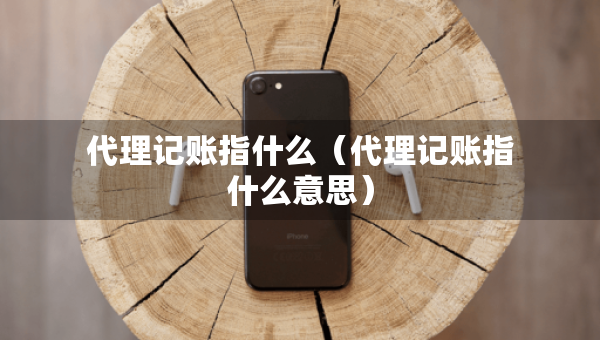 代理記賬指什么（代理記賬指什么意思）