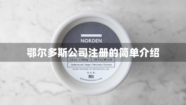 鄂爾多斯公司注冊的簡單介紹