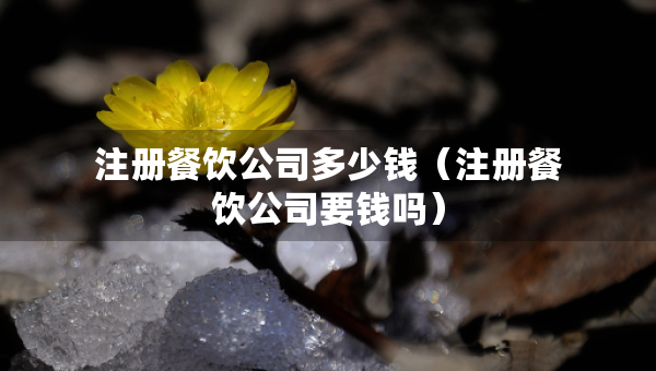 注冊餐飲公司多少錢（注冊餐飲公司要錢嗎）