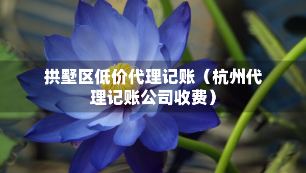 拱墅區(qū)低價代理記賬（杭州代理記賬公司收費）