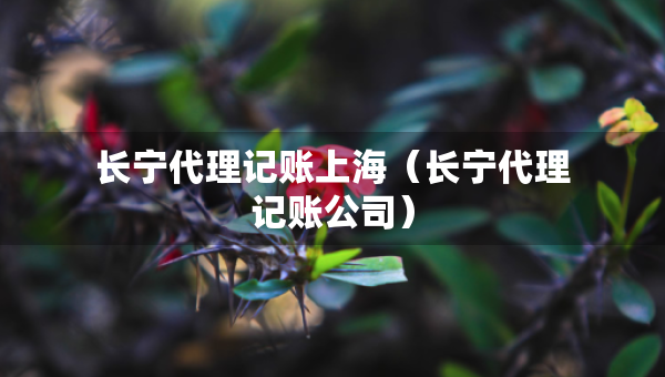 長寧代理記賬上海（長寧代理記賬公司）