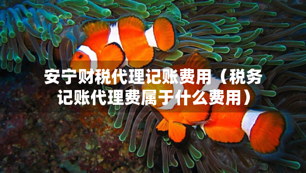 安寧財稅代理記賬費用（稅務記賬代理費屬于什么費用）