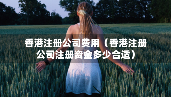香港注冊(cè)公司費(fèi)用（香港注冊(cè)公司注冊(cè)資金多少合適）