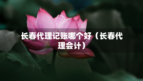 長(zhǎng)春代理記賬哪個(gè)好（長(zhǎng)春代理會(huì)計(jì)）