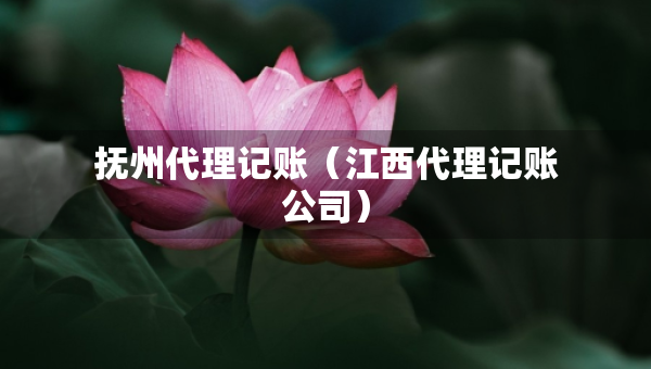 撫州代理記賬（江西代理記賬公司）