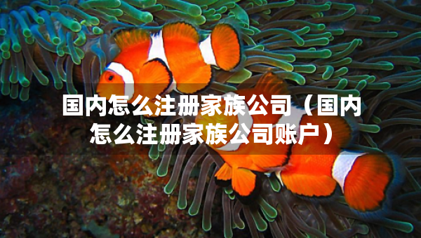 國(guó)內(nèi)怎么注冊(cè)家族公司（國(guó)內(nèi)怎么注冊(cè)家族公司賬戶）