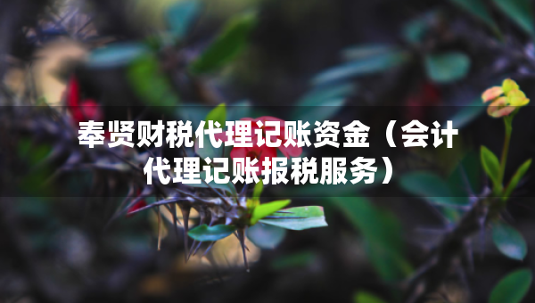 奉賢財(cái)稅代理記賬資金（會(huì)計(jì)代理記賬報(bào)稅服務(wù)）