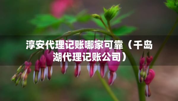 淳安代理記賬哪家可靠（千島湖代理記賬公司）