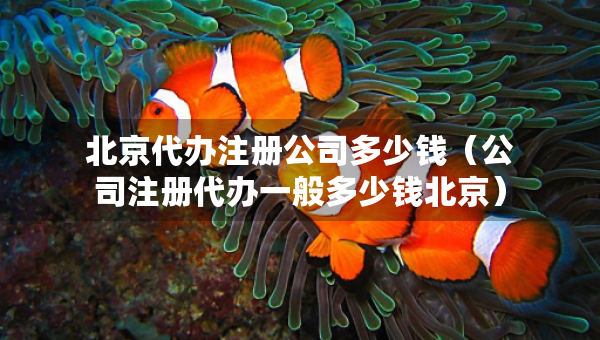 北京代辦注冊公司多少錢（公司注冊代辦一般多少錢北京）