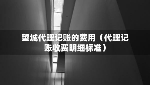 望城代理記賬的費用（代理記賬收費明細(xì)標(biāo)準(zhǔn)）