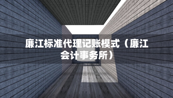 廉江標(biāo)準(zhǔn)代理記賬模式（廉江會(huì)計(jì)事務(wù)所）
