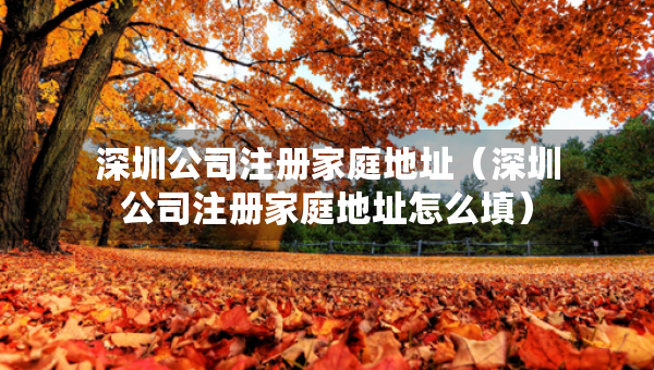 深圳公司注冊家庭地址（深圳公司注冊家庭地址怎么填）