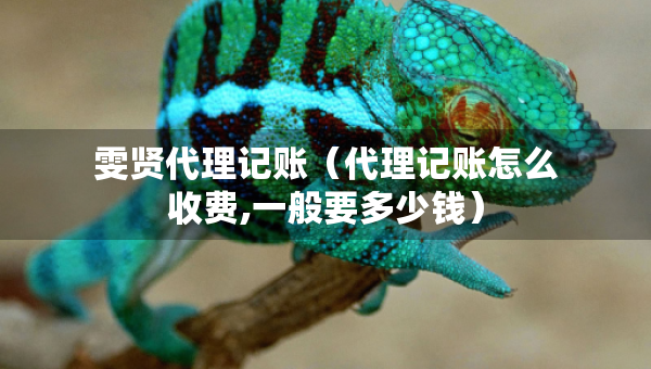 雯賢代理記賬（代理記賬怎么收費(fèi),一般要多少錢）