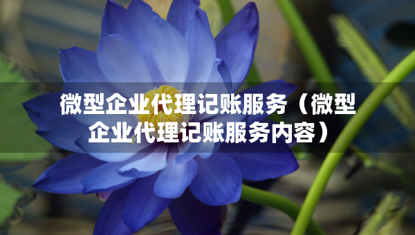 微型企業(yè)代理記賬服務(wù)（微型企業(yè)代理記賬服務(wù)內(nèi)容）