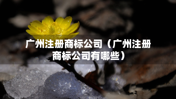 廣州注冊商標公司（廣州注冊商標公司有哪些）