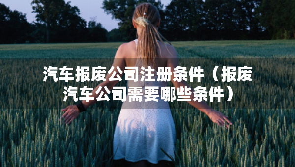 汽車報(bào)廢公司注冊條件（報(bào)廢汽車公司需要哪些條件）
