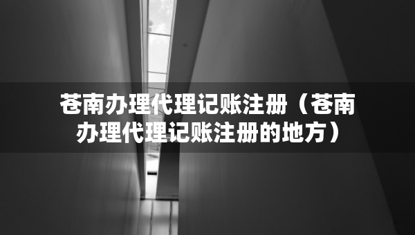 蒼南辦理代理記賬注冊(cè)（蒼南辦理代理記賬注冊(cè)的地方）