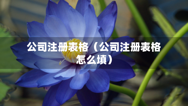 公司注冊(cè)表格（公司注冊(cè)表格怎么填）