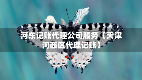 河?xùn)|記賬代理公司服務(wù)（天津河西區(qū)代理記賬）