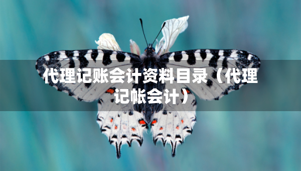 代理記賬會(huì)計(jì)資料目錄（代理記帳會(huì)計(jì)）