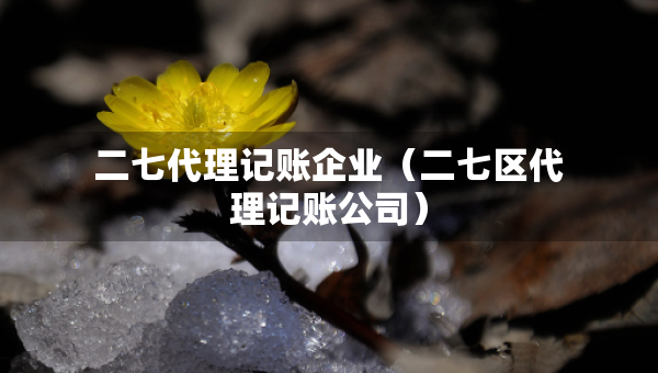 二七代理記賬企業(yè)（二七區(qū)代理記賬公司）