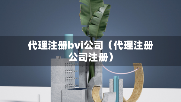 代理注冊(cè)bvi公司（代理注冊(cè)公司注冊(cè)）
