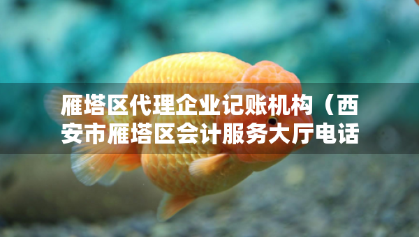 雁塔區(qū)代理企業(yè)記賬機構（西安市雁塔區(qū)會計服務大廳電話）