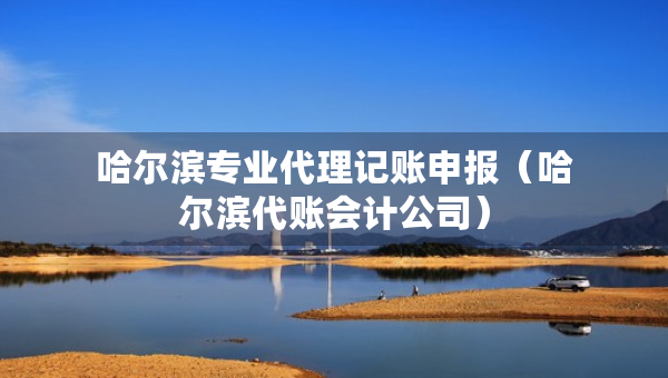 哈爾濱專業(yè)代理記賬申報(bào)（哈爾濱代賬會(huì)計(jì)公司）