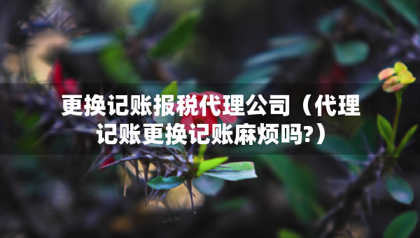 更換記賬報(bào)稅代理公司（代理記賬更換記賬麻煩嗎?）