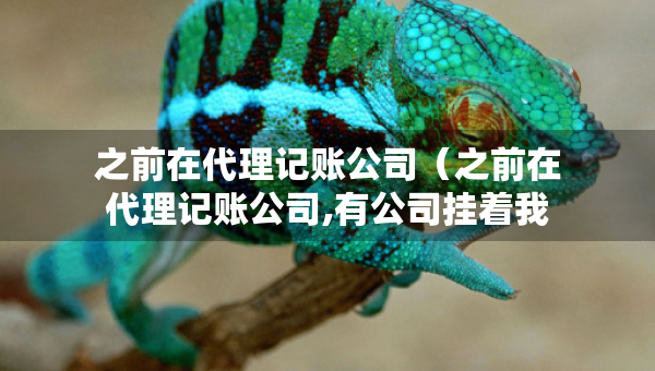 之前在代理記賬公司（之前在代理記賬公司,有公司掛著我的名字為財(cái)務(wù)負(fù)責(zé)人）