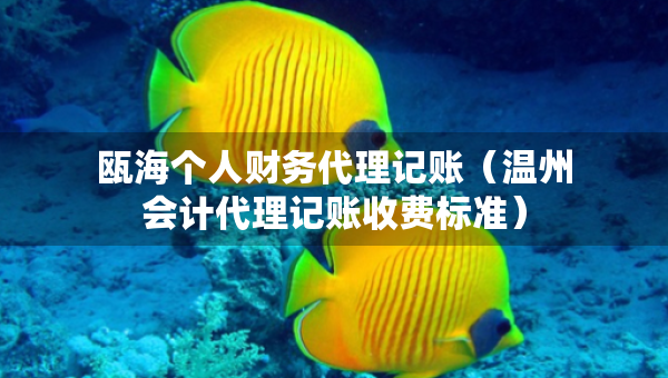 甌海個人財務代理記賬（溫州會計代理記賬收費標準）