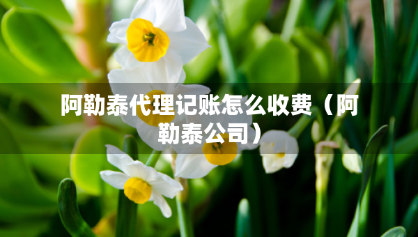 阿勒泰代理記賬怎么收費（阿勒泰公司）