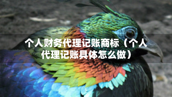 個(gè)人財(cái)務(wù)代理記賬商標(biāo)（個(gè)人代理記賬具體怎么做）
