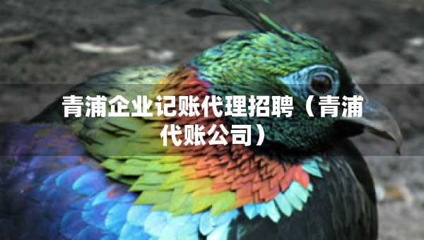 青浦企業(yè)記賬代理招聘（青浦代賬公司）