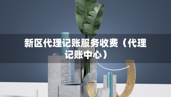 新區(qū)代理記賬服務(wù)收費(fèi)（代理記賬中心）