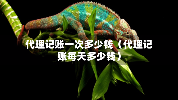 代理記賬一次多少錢（代理記賬每天多少錢）