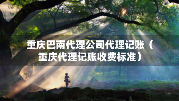 重慶巴南代理公司代理記賬（重慶代理記賬收費標準）