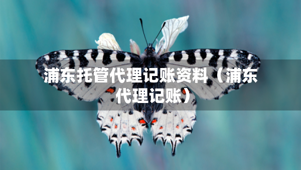 浦東托管代理記賬資料（浦東 代理記賬）
