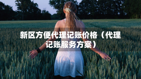 新區(qū)方便代理記賬價(jià)格（代理記賬服務(wù)方案）
