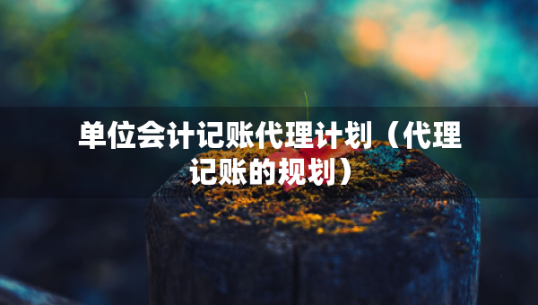 單位會(huì)計(jì)記賬代理計(jì)劃（代理記賬的規(guī)劃）