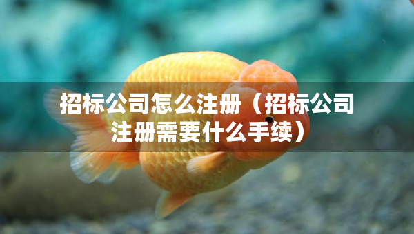 招標(biāo)公司怎么注冊(cè)（招標(biāo)公司注冊(cè)需要什么手續(xù)）