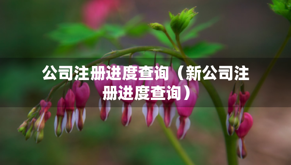 公司注冊進度查詢（新公司注冊進度查詢）