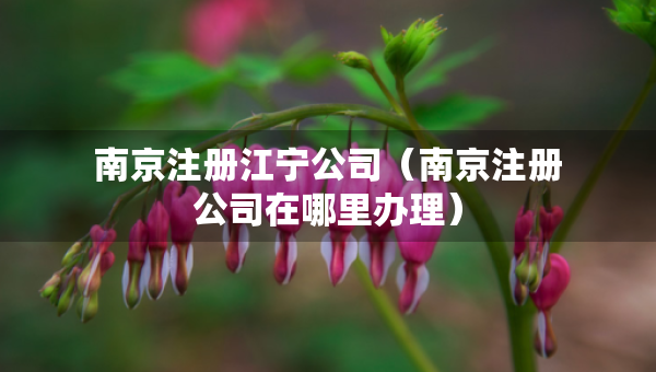 南京注冊(cè)江寧公司（南京注冊(cè)公司在哪里辦理）
